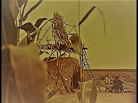 Видео: Вкус чурека -2 СЕЛЬСКОЕ ХОЗЯЙСТВО КБАССР министр Бесланеев В.Д. кукуруза 1984г документальный фильм