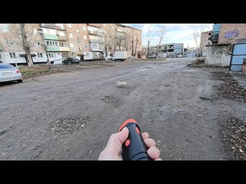 Видео: Тест УЗ отпугивателя собак