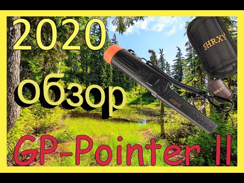 Видео: Обзор Пинпоинтера С Алиэкспресс GP-Pointer II 2020