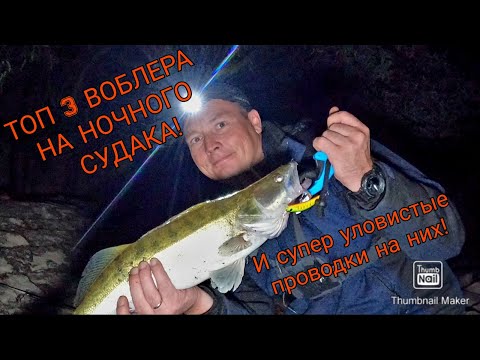 Видео: "ТОП-3 воблера для ночного судака + суперсекретные проводки!"