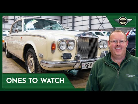 Видео: Пол, ОБЯЗАТЕЛЬНО СМОТРИТЕ на этом аукционе!