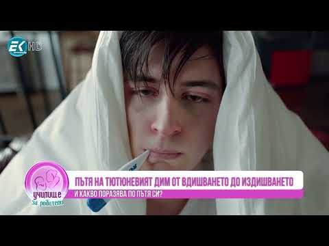Видео: Пушенето: рискове, пристрастяване, отказване и лечение. Гост д-р Елена Ангелова, пулмолог.