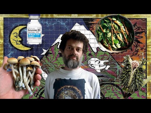 Видео: Разница между ЛСД и Грибами, DMT, Дурман, Кетамин - Теренс МакКенна