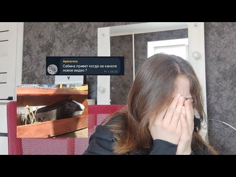 Видео: Почему меня не было? || Моя морская свинка || Школа