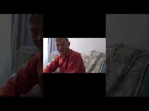 Видео: Николаевские голуби (Саратов) Фильм-5. Часть 1