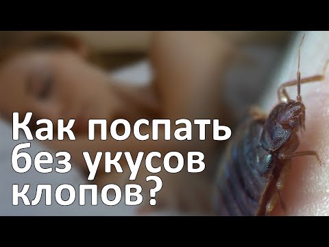 Видео: Как защититься от клопов во время сна и переночевать в квартире с клопами до приезда дезинфекторов?