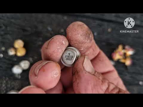 Видео: Разбор Осциолограф С1- 99 на драг металы #золото#паладий#платина # серебро#