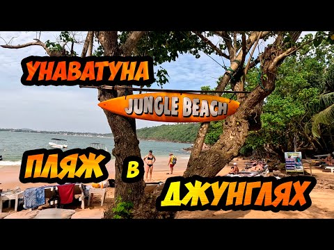 Видео: Jungle Beach - пешком из Унаватуны до потрясающего пляжа в джунглях (Шри-Ланка)