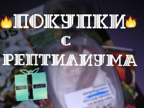 Видео: ПОКУПКИ С РЕПТИЛИУМА / Новые питомцы