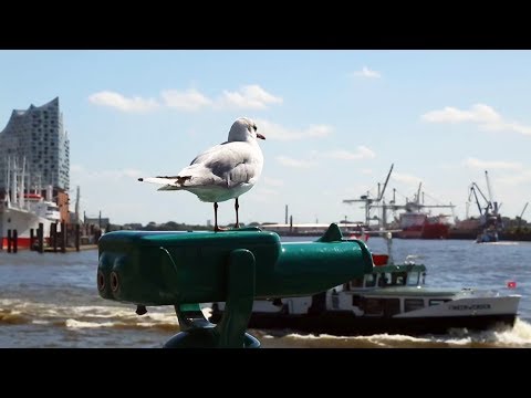 Видео: Гамбург — "ворота в мир" | ЖДЁМ В ГОСТИ