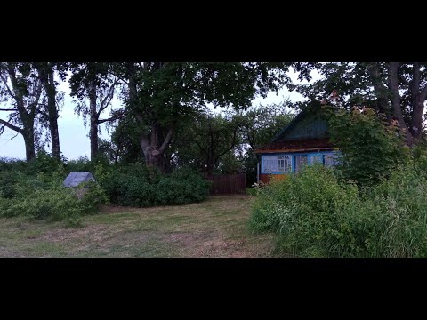 Видео: Купил дом в деревне на отшибе  за 1500 $ обзор