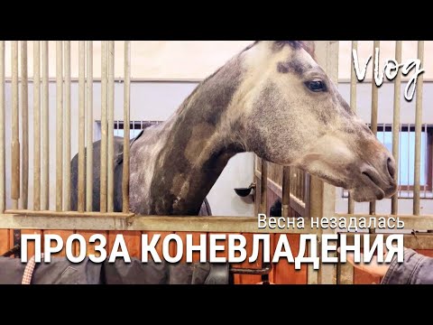 Видео: VLOG: Проза Коневладения