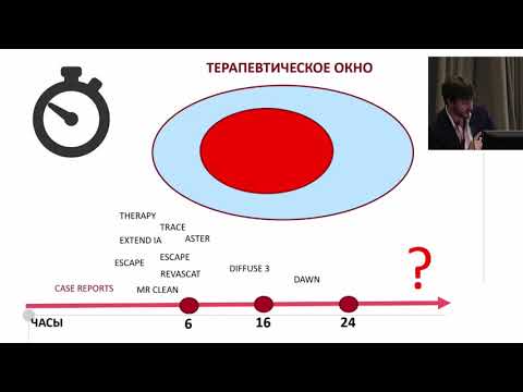 Видео: Д.В. Скрыпник. Терапевтическое окно для лечения острого ишемического инсульта.