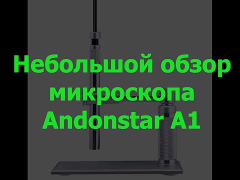 Видео: микроскоп Andonstar A1 25/12/23