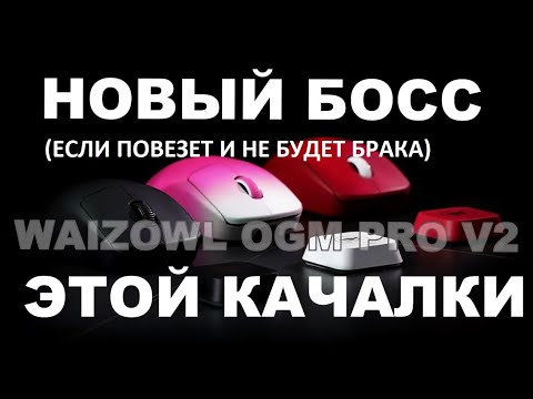 Видео: ЭТО ВОЗМОЖНО ЛУЧШАЯ ИГРОВАЯ МЫШЬ 2024.  WAIZOWL OGM PRO V2