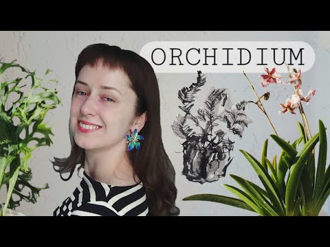 Видео: Мои первые орхидеи 🌸 и редкие папоротники | Пересадка платицериума на кору