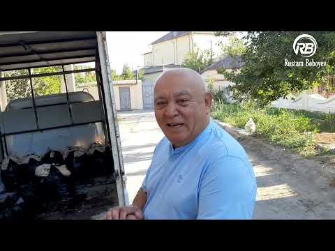 Видео: Азамат Отажонов Хонадони(12 Қазон ОШ) Б.ТОЖИЕВ НОМИДАН😂👍👏