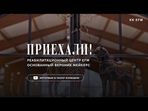 Видео: Приехали! в голландский реабилитационный центр EFM к Анне Гусейновой