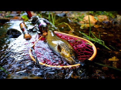 Видео: ручьевая форель #1 / ito craft exc510ul
