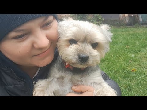 Видео: ПОГОВОРИМ...