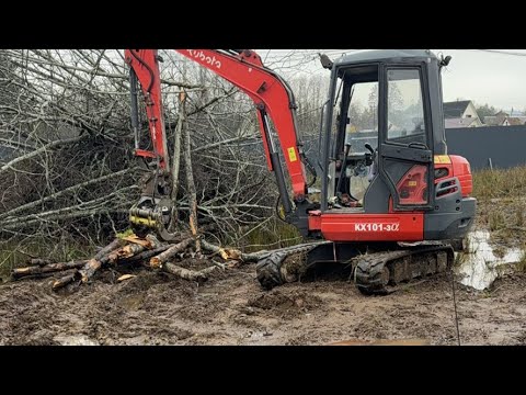 Видео: Мощный мини экскаватор. Расчистка участка участка СПБ. в прямом эфире!