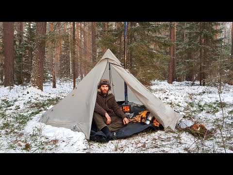 Видео: Зимний тест титановой печи. Поход в зимний лес с ночевкой.