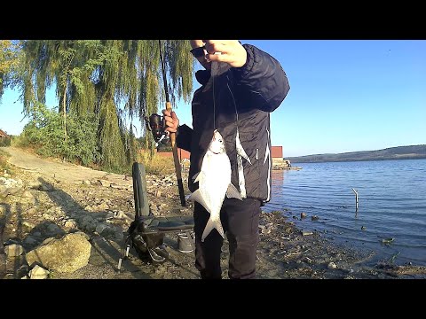 Видео: Рыбалка на фидер в конце сентября на водохранилище Гидигич.Жор красноперки осень 2020.