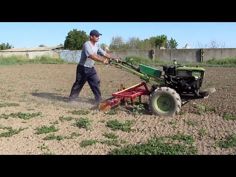 Видео: Мотоблок культивирует!