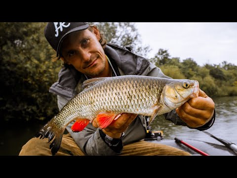 Видео: Рассказываю как поймать голавля при ловле сплавом на реке. Рыбалка на спиннинг сплавом [Пора ловить]
