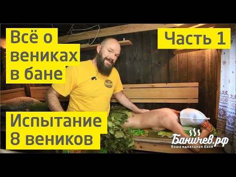Видео: Веники для бани. Испытываем 8 разных веников. Ароматерапия бани Баничев. Часть 1