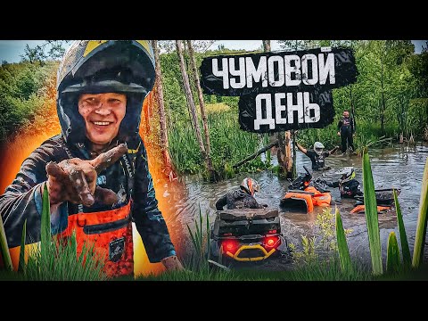 Видео: Чумовой день