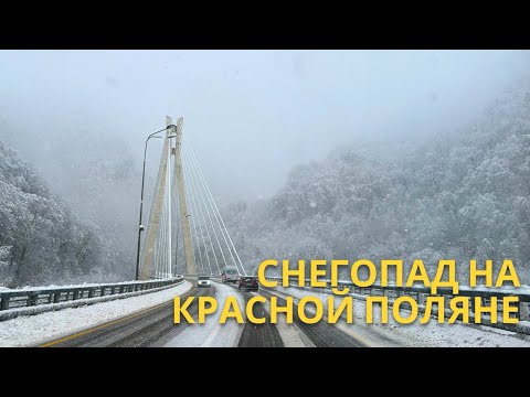 Видео: Граница климатических зон по дороге на Красную поляну