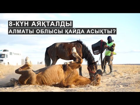 Видео: Жетісу Маңғыстаудан көз жазып қалды. Алматы облысы жылдамдығын арттырды. 8-күн аяқталды.