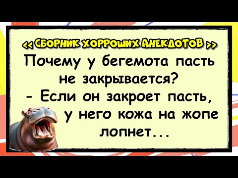 Видео: 🐸 Про Зверей и про Людей! Сборник хорроших анекдотов! ✅анекдоты ✅юмор ✅смех