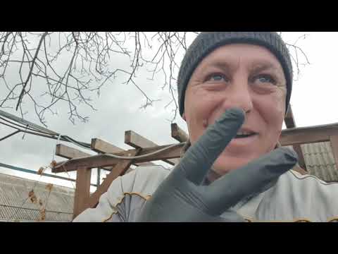 Видео: Правильна  підготовка саджанців до відправки. 