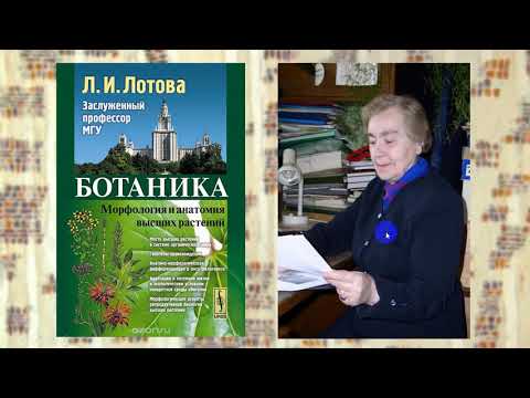 Видео: ПЕРВАЯ лекция  по цитологии растений для 1 курса Биофака. А. Беэр,  2020 г.