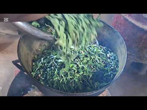 Видео: С Днем Рождения!