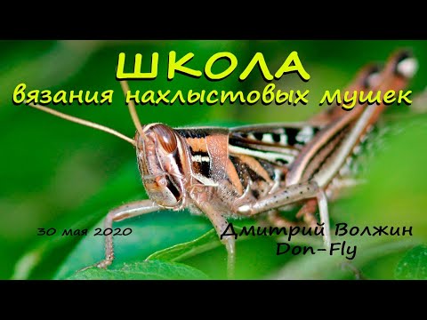 Видео: Школа вязания мушек 29.05.20. Hopper Fly (часть2)