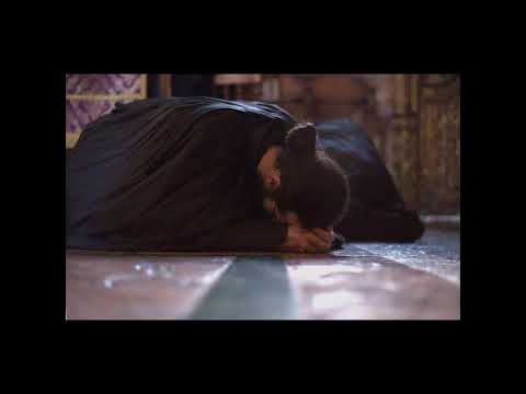 Видео: Усред пустињске красоте