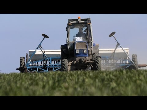 Видео: Подкормка пшеницы сеялкой 23.03.2022 г. ЮМЗ-8280 СЗ-5.4