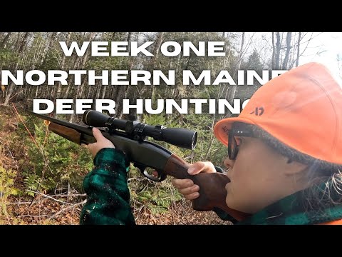 Видео: Потерян олень весом 200 фунтов. // Охота на оленей в Северном Мэне // Неделя первая