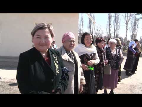 Видео: Медицина кызматкерлери да улуттук наркты жайылтууга салым кошууда / Нооруз-2023 | "Таңкы Талас"