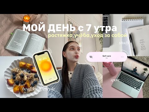 Видео: МОЙ ДЕНЬ С 7 УТРА/растяжка,учёба,бренд свечей,осенние прогулки