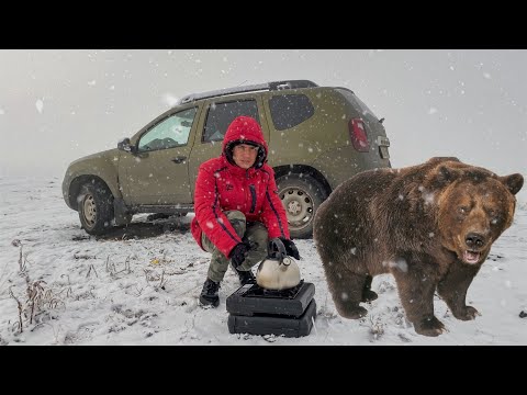 Видео: ВЫЖИВШИЕ В АРКТИКЕ. СУРОВЫЙ СЕВЕР. НАЕДИНЕ С ТУНДРОЙ #9