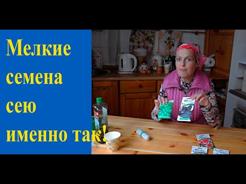 Видео: Эффективный способ посева мелких семян без земли