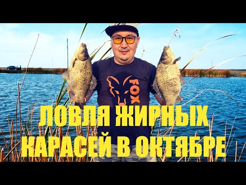 Видео: Осенний жирный карась /рыбалка в Астане