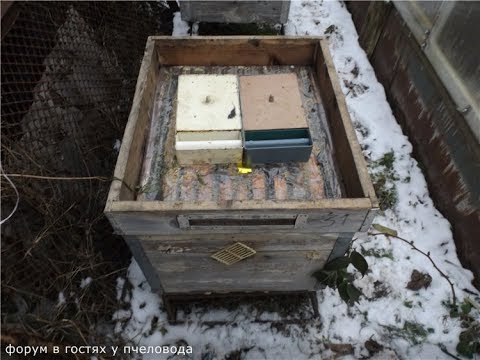 Видео: ошибки пчеловода - густой сироп или жидкий, для зимней подкормки пчел