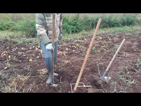 Видео: модернизация вил, или как легко копать кортошку.