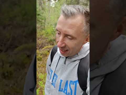 Видео: Emerald Lake - озеро Канада 01.06.2025