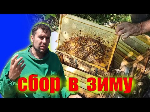 Видео: Сбор пчелиной семьи в зиму. Сколько оставить меда после откачки в гнезде. Подготовка пчел к зимовке